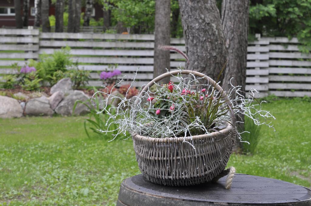 Koru Cottage Laagri Kültér fotó